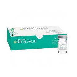 BIOLAGE SCALPSYNC  AMINEXIL FIALE ANTICADUTA 10X6